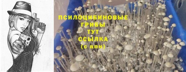 МДПВ Алексин